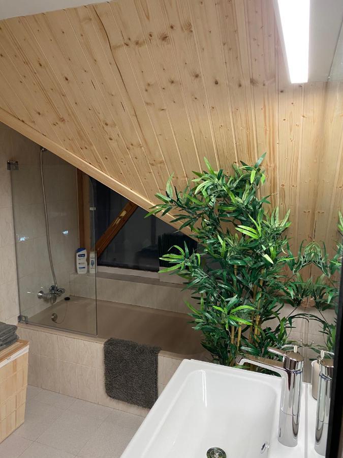 Apartament Atico Duplex Reformado Con Vistas A La Montana Canfranc Zewnętrze zdjęcie