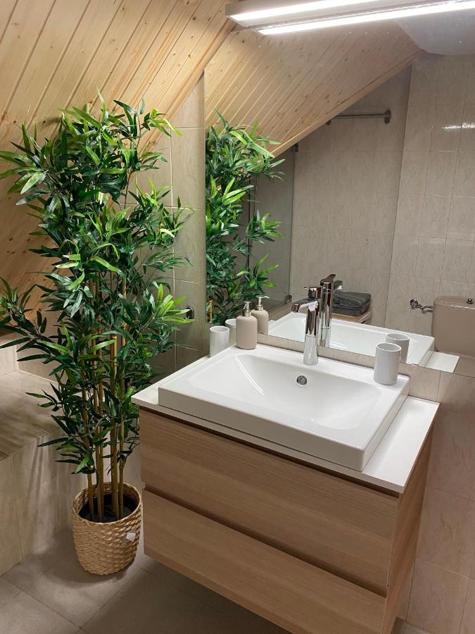 Apartament Atico Duplex Reformado Con Vistas A La Montana Canfranc Zewnętrze zdjęcie